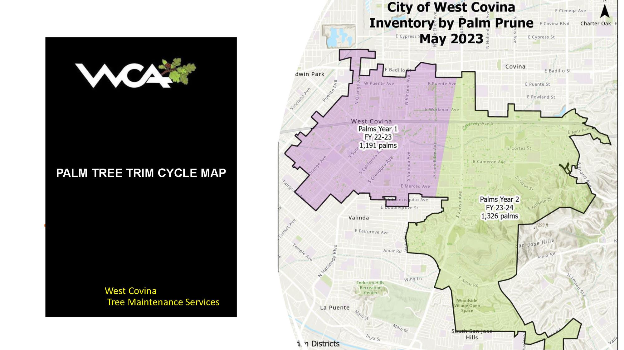 2023 - WCA Palm Tree 2 yr Trimming Cycles